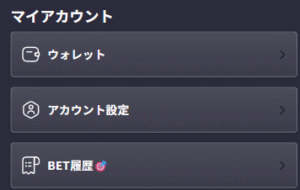 ビッグベットカジノ アカウント設定