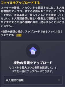 ビッグベットカジノ KYC書類アップロード