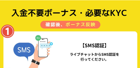 ビッグベットカジノ SMS認証イメージ
