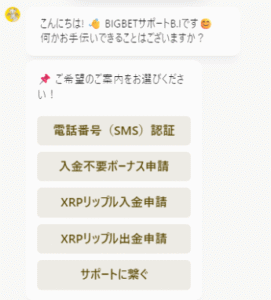 ビッグベットカジノ SMS 認証