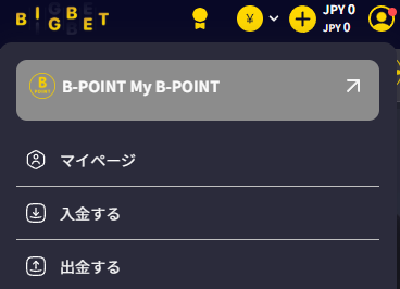 ビッグベットカジノ 出金