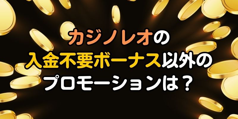 カジノレオの入金不要ボーナス以外のプロモーションは？