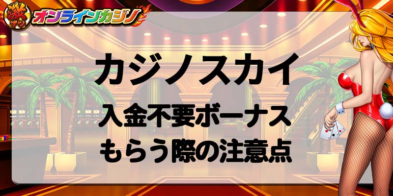 カジノスカイ入金不要ボーナス貰う際の注意点