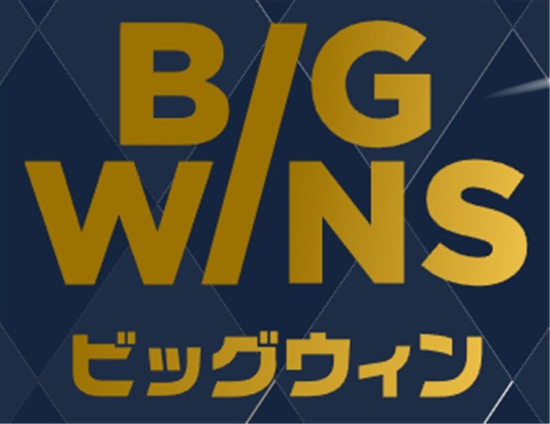 オンラインカジノ　海外　BIGWINS